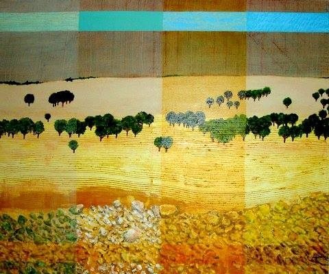 מראות הנגב הצפוני