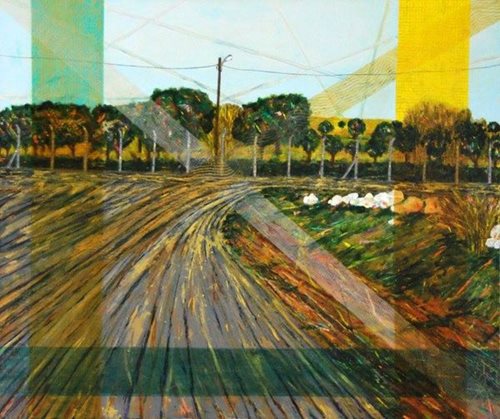 מראות הנגב הצפוני