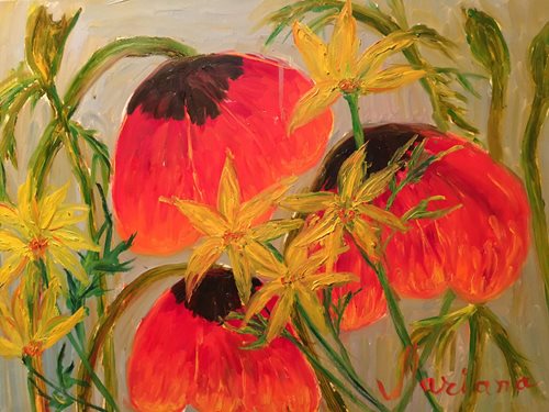 כלניות , שמן על קנבס, 70*50