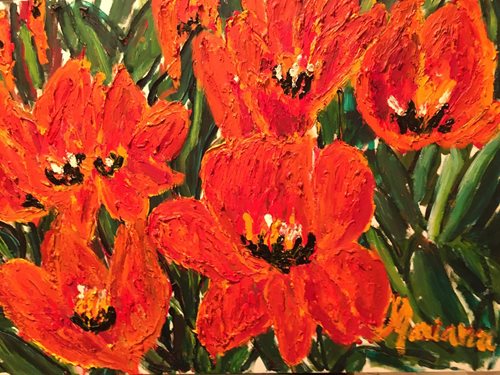 כלניות 1, שמן על בד קנבס, 70*50