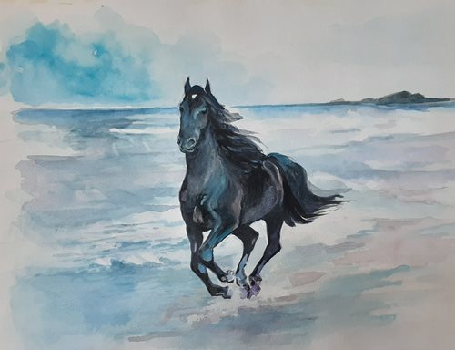 וויליאם נדג'אר  דהרה תמונה 24 אקווארל פספרטו ללא ממסגרת