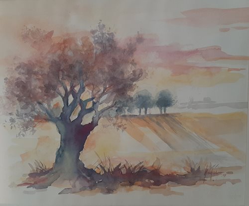 ויליאם נדגאר - עץ זית תמונה 17 אקווארל ללא מסגרת. רק פספרטו , 49*47.5