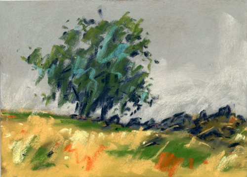 עץ עם צהוב (2)